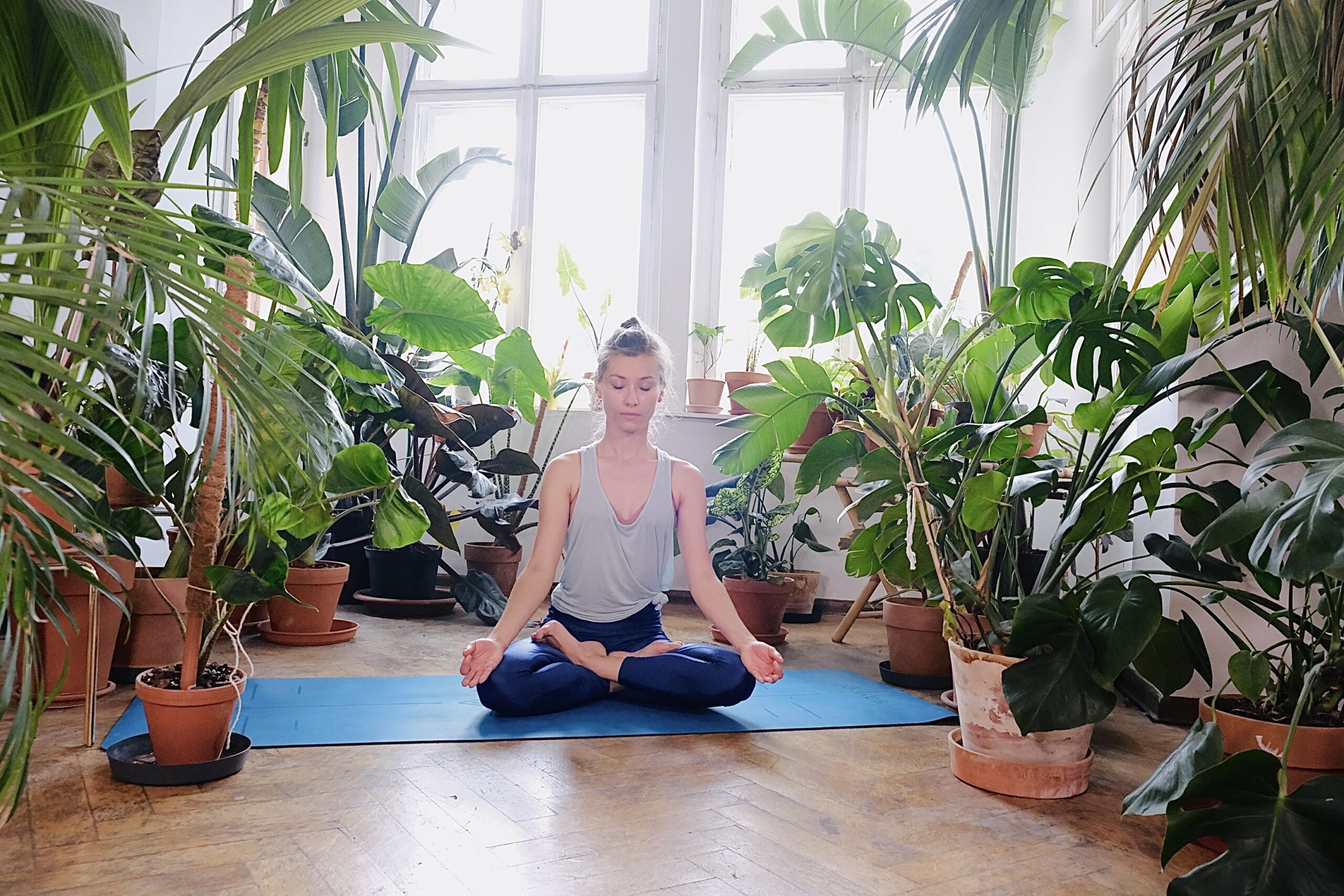 Yoga with Paulina Meditation